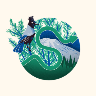 SciPy2024のロゴ